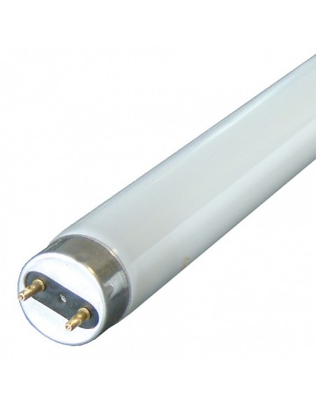 18w Triphosphor Fluorescent Tube T8 White