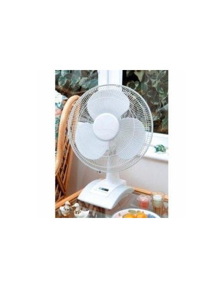 12 Inch (30 cm) Desk Fan with 3 Fan Speed Settings