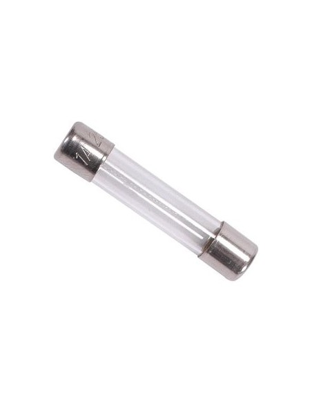 500mA Quick Blow Fuse 