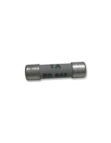 1A BS646 Fuse