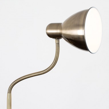 Antique Brass Flexi Floor Lamp