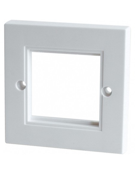 2 Module Face Plate