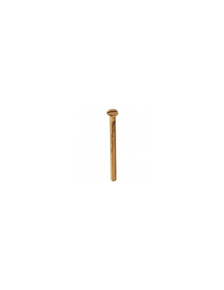 25mm Accessory Fixing Screws - M3.5 Brass 